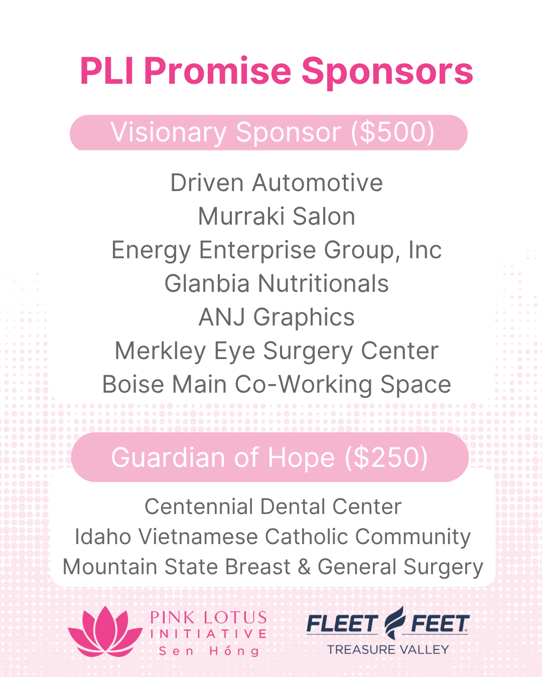PLI Promise Sponsors for website